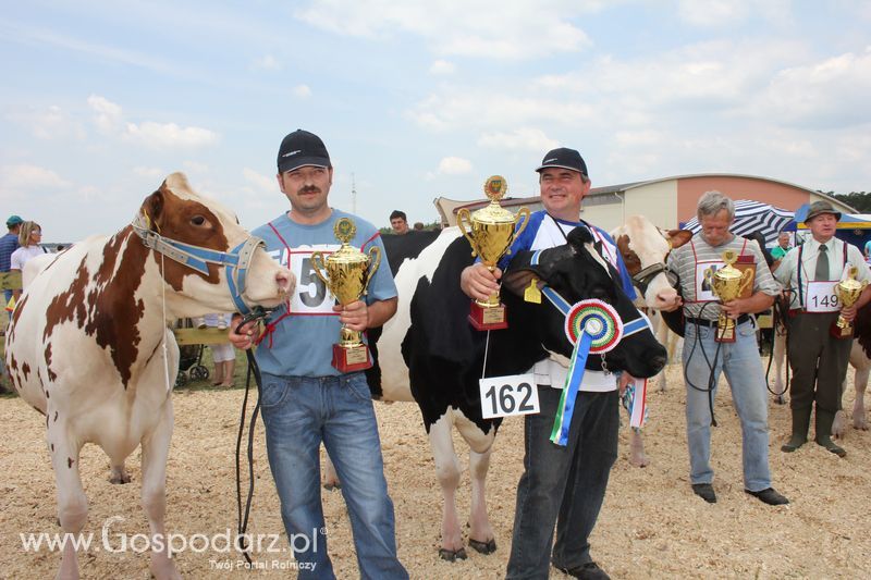Superchampioni i championi Śląskiej Wystawy Bydła Mlecznego Opolagra 2011