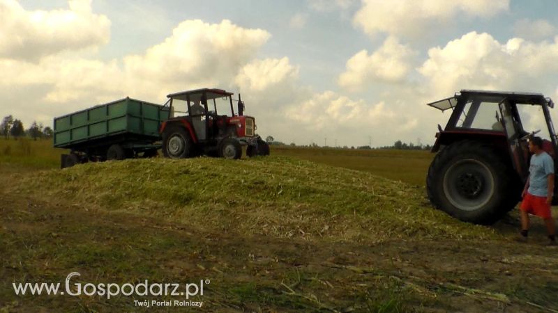 Kiszonka 2013