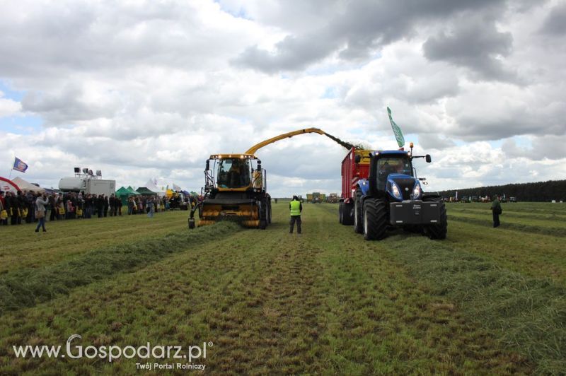 Pokazy maszyn Polskie Zboża Zielone Agro Show 2012