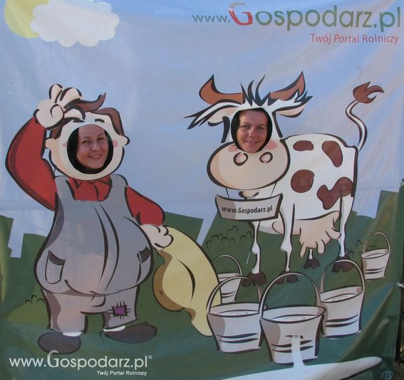 Agro Show 2011 Bednary Zdjęcie z krówką Sobota