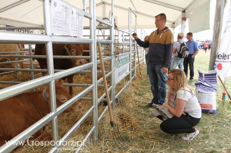 Sobota na Opolagrze 2016 razem z Gospodarz.pl