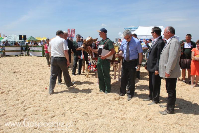 Opolagra 2013 cz.2