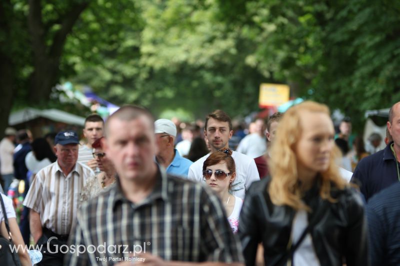 Targi rolne w Szepietowie (27-28.06.2015)