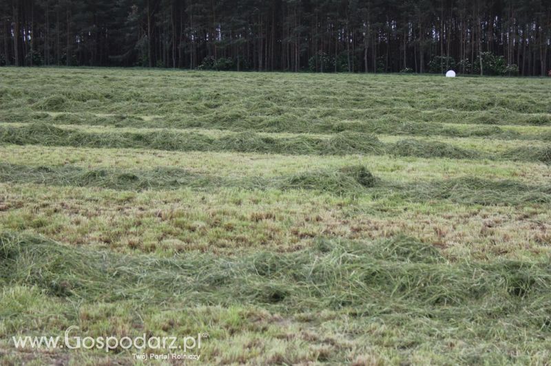 Pokazy maszyn Polskie Zboża Zielone Agro Show 2012