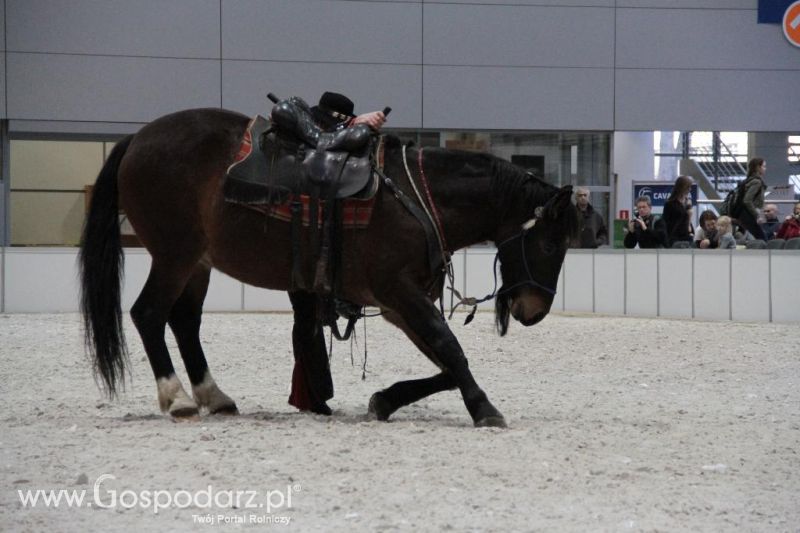 CAVALIADA 2013 w Poznaniu