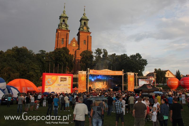 Pora na Pomidora w Gnieźnie