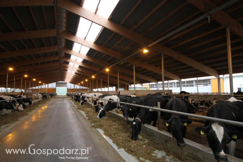 Wyjazd studyjny na farmę Langengrassau w Niemczech