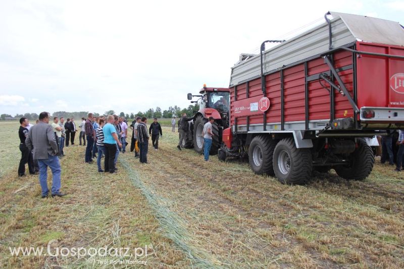 Pokazy polowe Romanów k/Krotoszyna