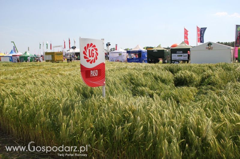 Zielone AGRO SHOW – POLSKIE ZBOŻA 2014 w Sielinku - niedziela