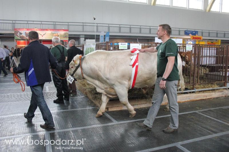 XXVI Krajowa Wystawa Zwierząt Hodowlanych - sobota i niedziela