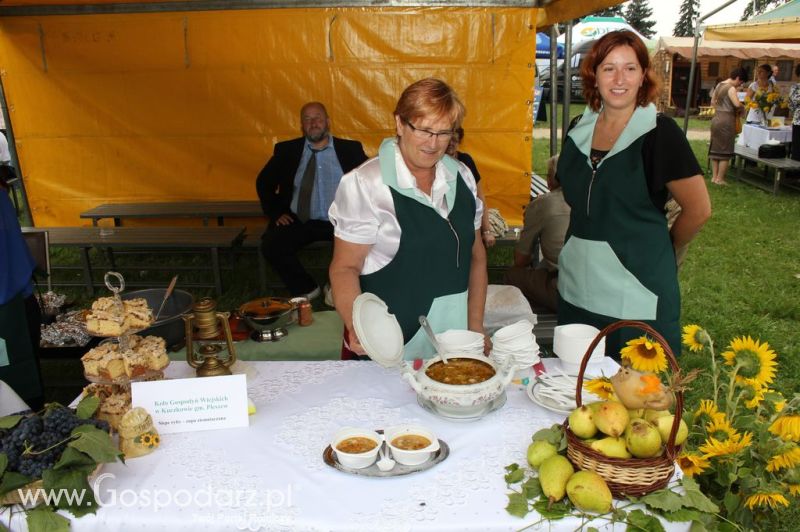 XIX Krajowe Dni Ziemniaka w Marszewie