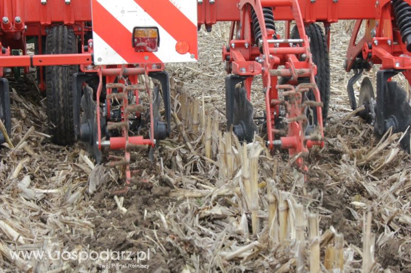 Kultywator STRIGER do uprawy pasowej