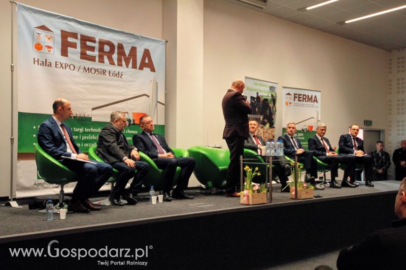 Ferma 2019 dzień 1