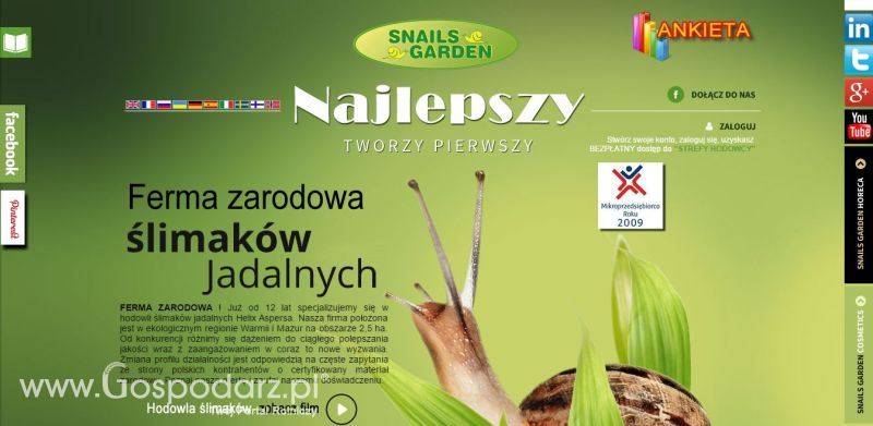 Hodowla ślimaków