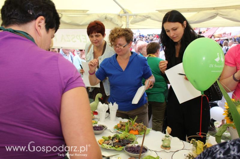 IX Święto Gęsi w Biskupcu