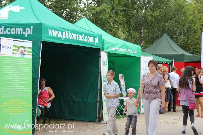 Festiwal Wieprzowiny w Targowisku Dolnym