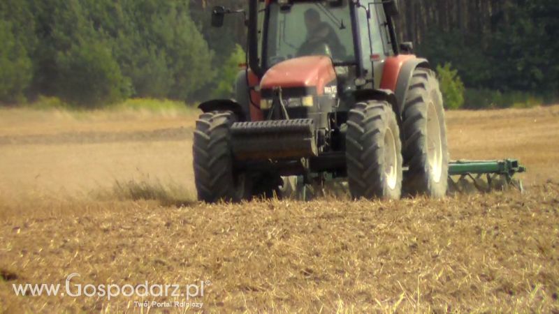Talerzowane 2013 