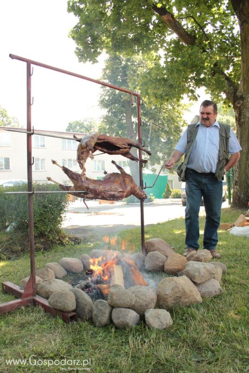 XVIII Regionalna Wystawa Zwierząt Hodowlanych i Dni z Doradztwem Rolniczym w Szepietowie - Sobota