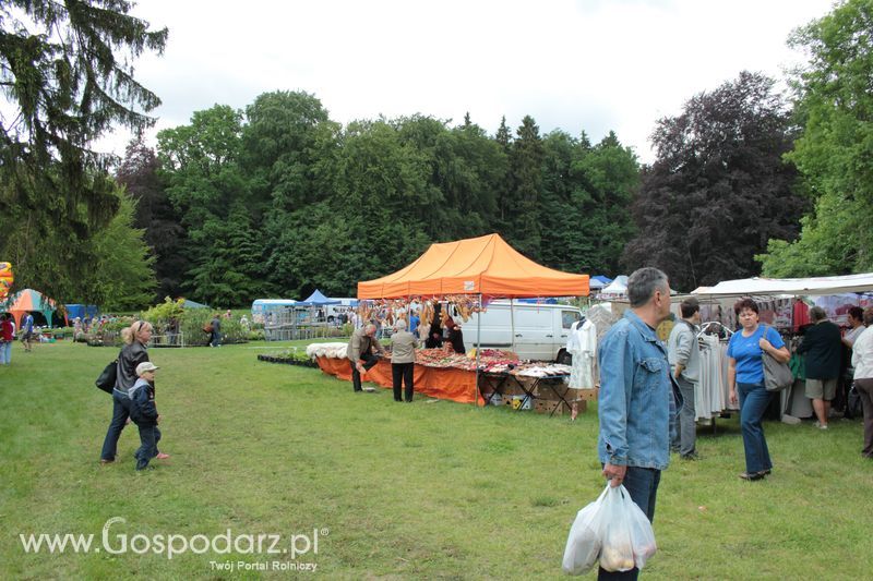 XX Targi Rolnicze Lubniewice 