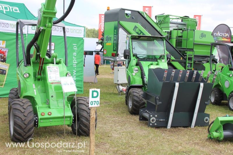 Serafin na Opolagrze 2013