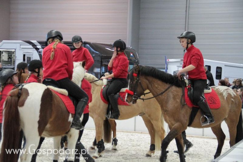 CAVALIADA 2013 w Poznaniu
