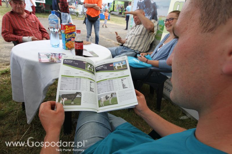 InterGen na OPOLAGRZE 2016