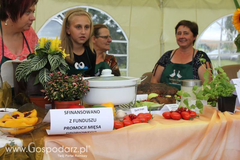 IX Święto Gęsi w Biskupcu