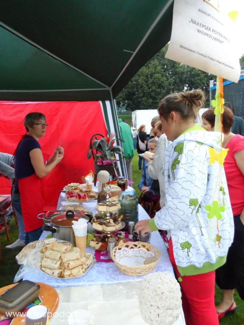 II Festiwal Wieprzowiny w Kwidzyniu