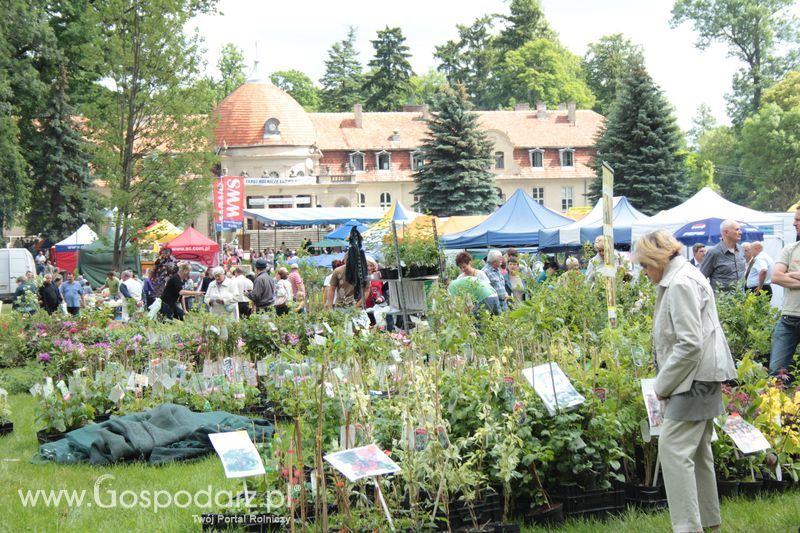 XX Targi Rolnicze Lubniewice 