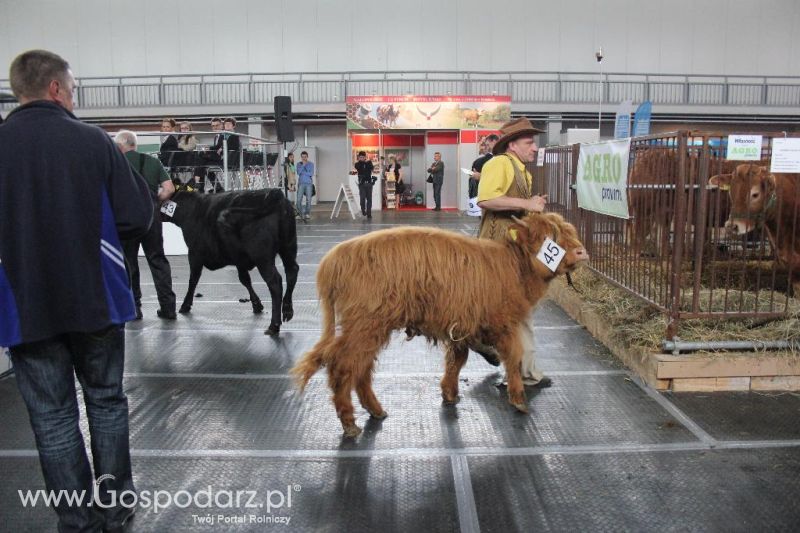 XXVI Krajowa Wystawa Zwierząt Hodowlanych - sobota i niedziela