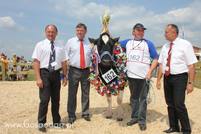 Superchampioni i championi Śląskiej Wystawy Bydła Mlecznego Opolagra 2011