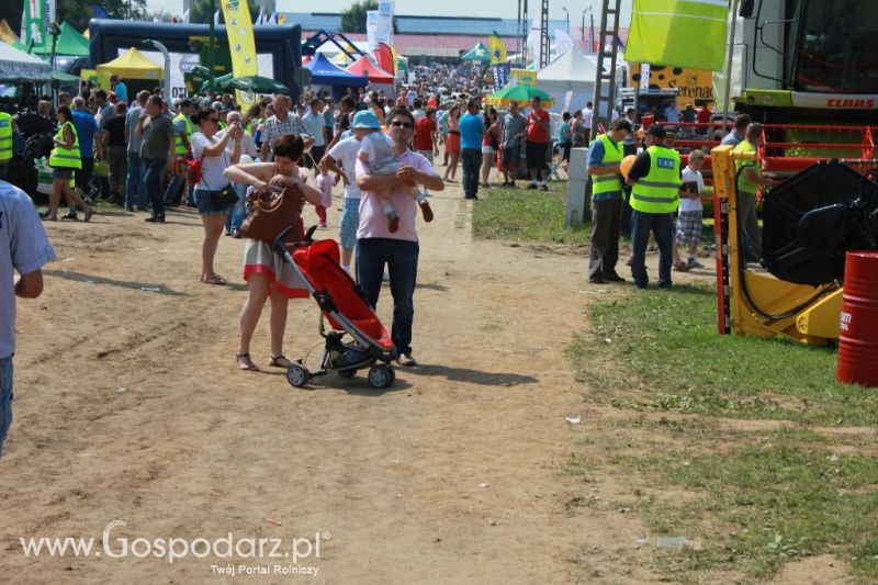 Regionalna Wystawa Zwierząt Hodowlanych i Dni z Doradztwem Rolniczym w Szepietowie-niedziela