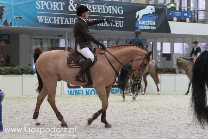 CAVALIADA 2013 w Poznaniu