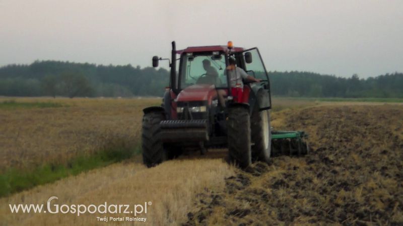 Talerzowane 2013 