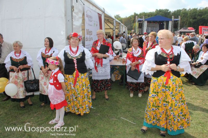 Świętomięs Polski w Chorzowie