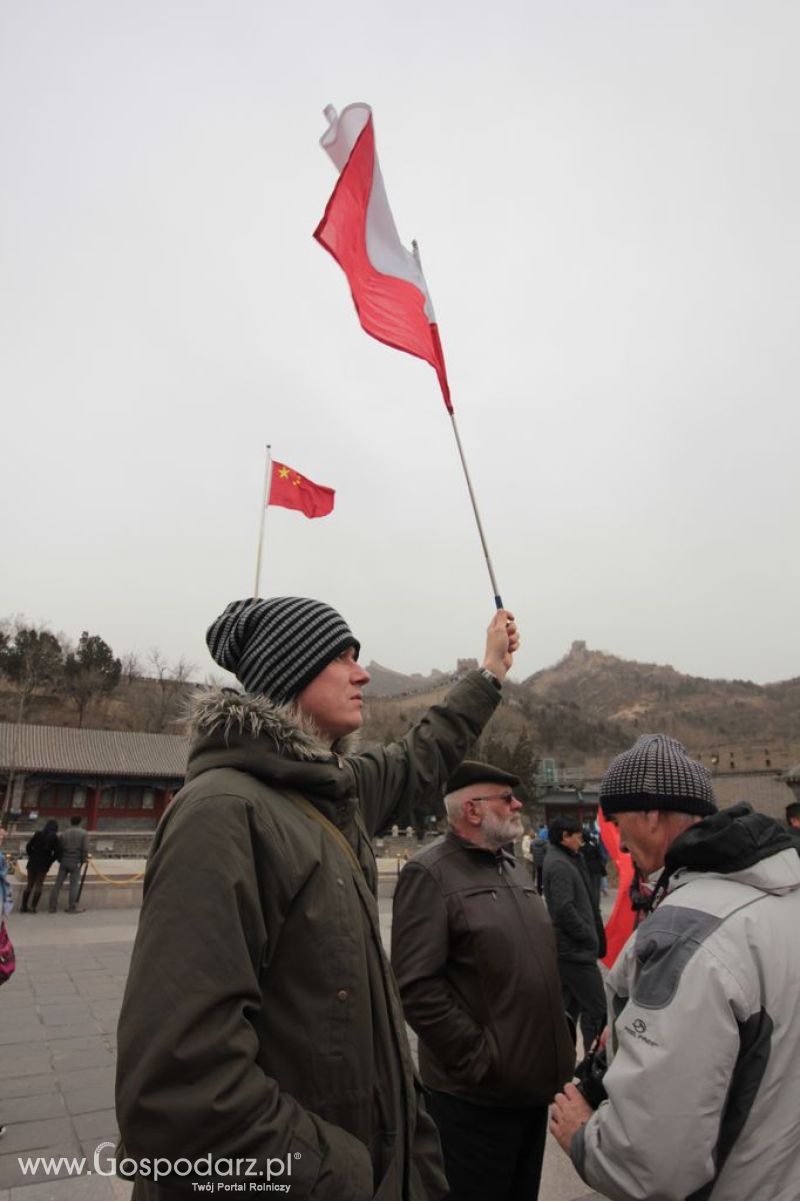 Gospodarz.pl w Chinach