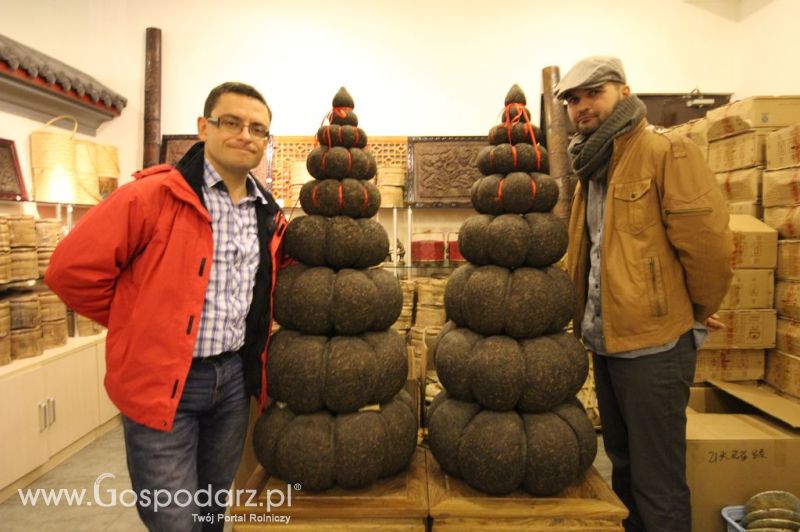 Gospodarz.pl w Chinach