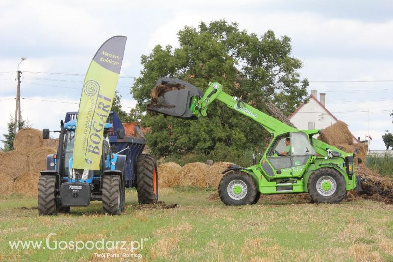Pokazy Polowe z firmą Bogart