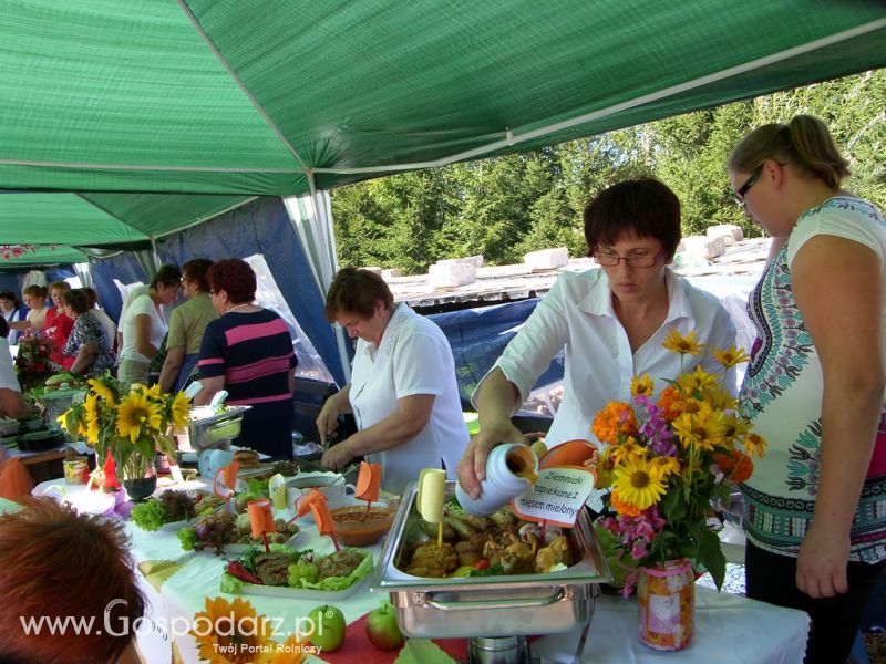 Festiwal Wieprzowiny Targowisko Dolne k/Lubawy 2012