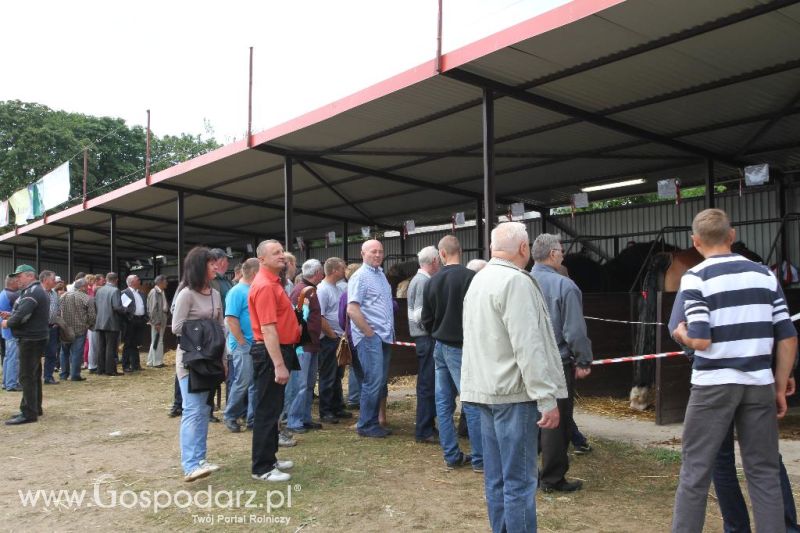 VIII Ogólnopolska Wystawa Bydła Hodowlanego, XXI Regionalna Wystawa Zwierząt Hodowlanych i Dni z Doradztwem Rolniczym w Szepietowie