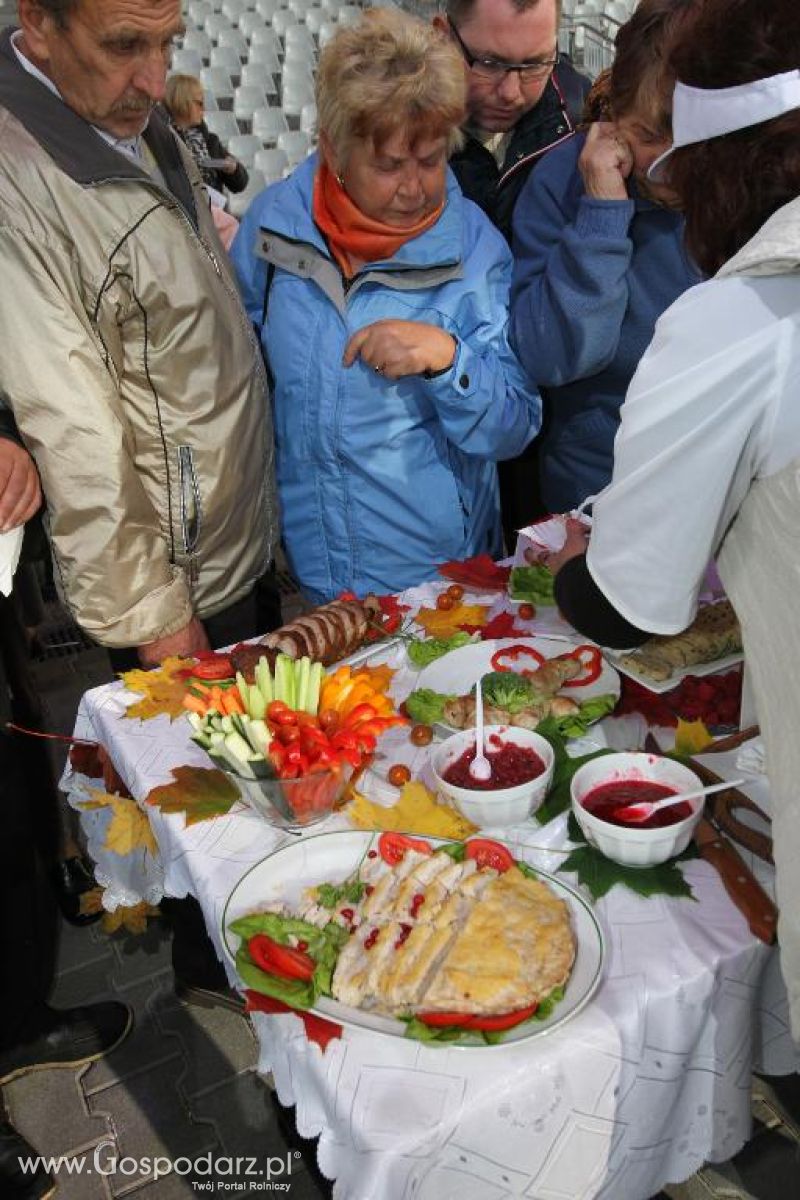 Święto Indyka w Ostródzie