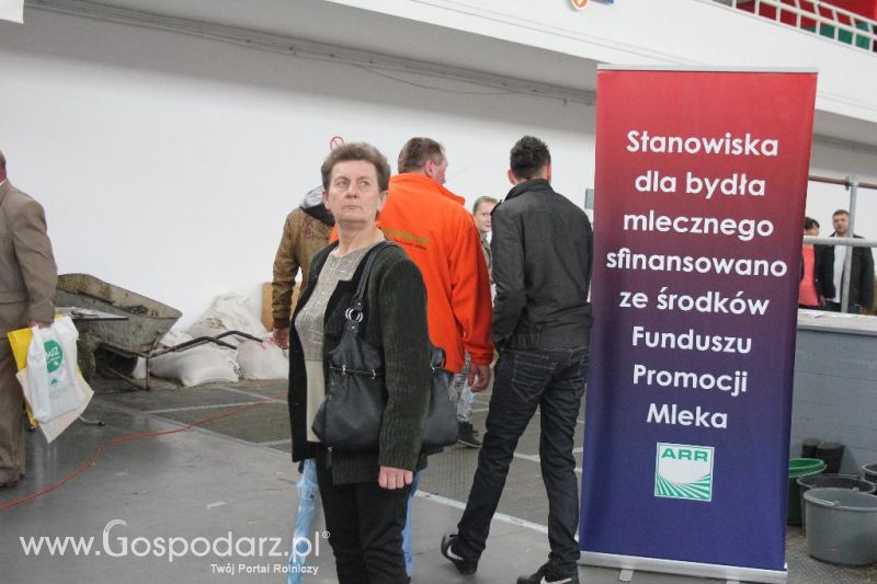 XXVI Krajowa Wystawa Zwierząt Hodowlanych - sobota i niedziela