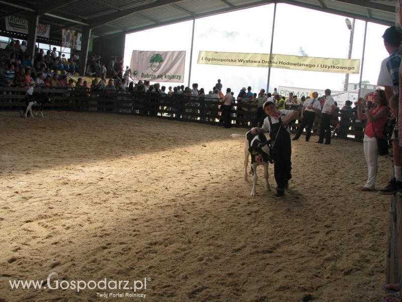 Młody Hodowca - Szepietowo 2012 XIX Regionalna Wystawa Zwierząt Hodowlanych