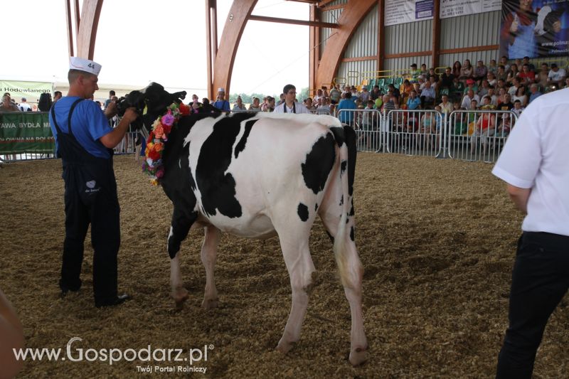 Targi Agro -Tech w Minikowie 2015