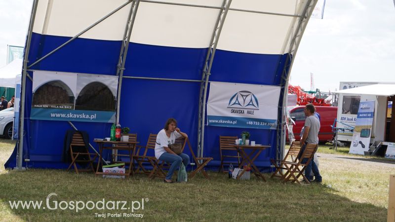 Skavska Hale na Opolagrze 2017