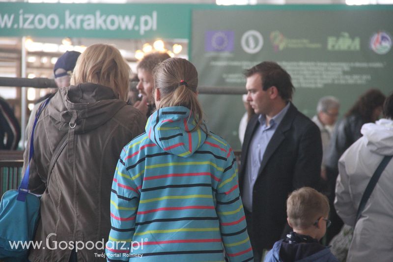 KWZH 2015 niedziela