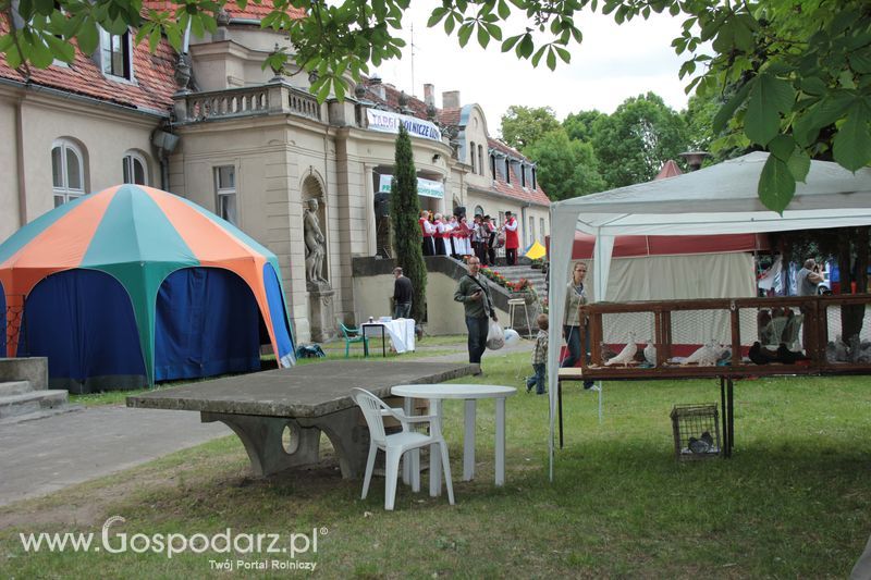 XX Targi Rolnicze Lubniewice 