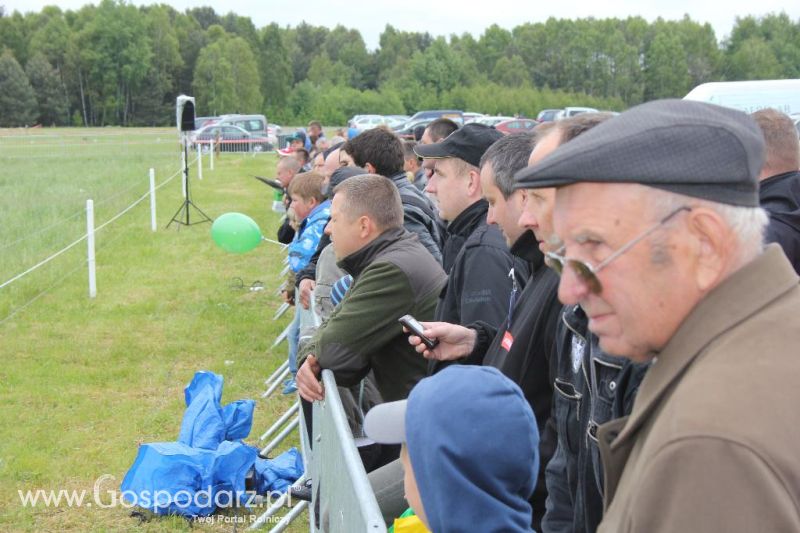 Polskie Zboża i Zielone Agro Show 2013