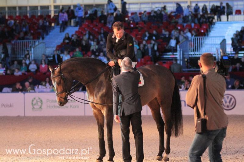 CAVALIADA 2013 w Poznaniu