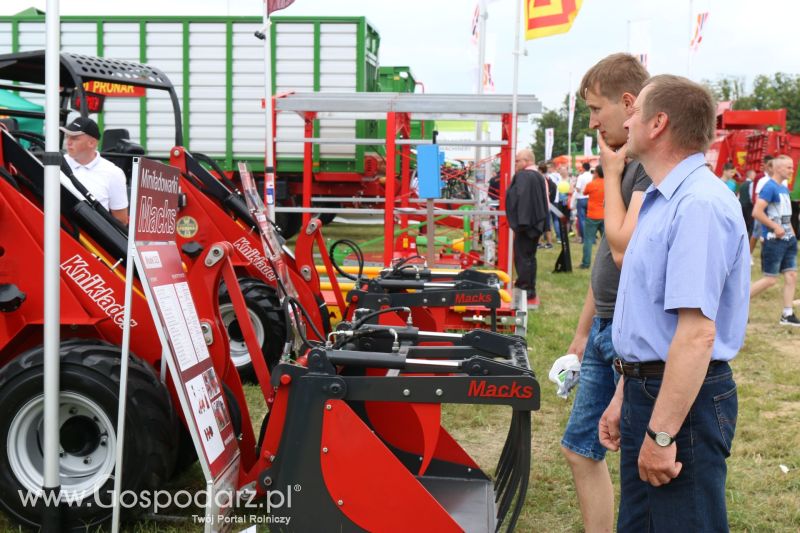 Regionalna Wystawa Zwierząt Hodowlanych i Dni z Doradztwem Rolniczym w Szepietowie 2017 (niedziela)